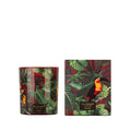 Vela Wild Musk de Jungletopia, velas aromáticas decorativas con notas florales y almizcladas, inspiradas en la selva tropical